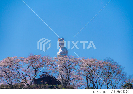 船岡城址公園の船岡平和観音と桜　【宮城県】 73960830