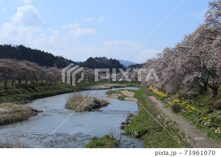 夏井千本桜 夏井千本桜 73961070