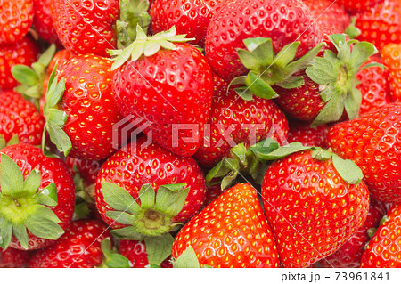 福岡県産いちご　博多あまおう 73961841