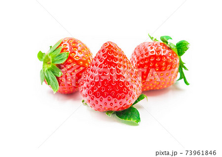 福岡県産いちご 博多あまおう 福岡県産いちご 博多あまおう 73961846