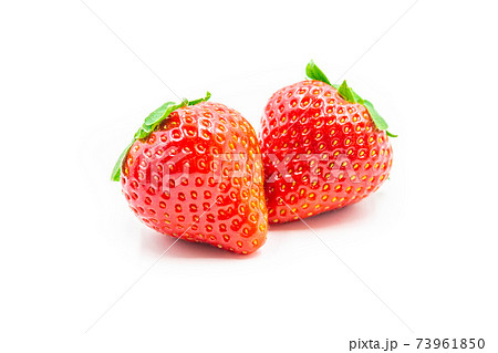 福岡県産いちご　博多あまおう 73961850
