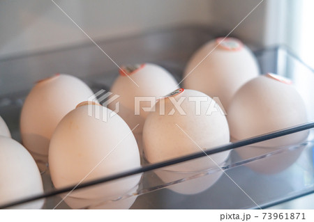 冷蔵庫に入った卵 73961871