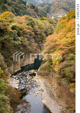 吾妻峡の紅葉 群馬県の写真素材