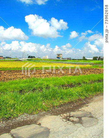 夏の刈取りの始まった田圃風景 夏の刈取りの始まった田圃風景 73962658