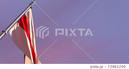 3d rendering of the national flag of the Belarus 73963200