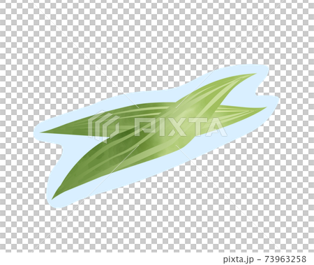 Bamboo leaves drawn under the ingredients / leaf orchids / watercolor / vector / individually deformable Bamboo leaves drawn under the ingredients / leaf orchids / watercolor / vector / individually deformable 73963258