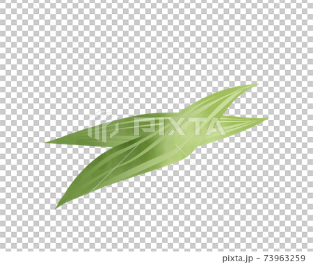 Bamboo leaves drawn under the ingredients / leaf orchids / watercolor / vector / individually deformable Bamboo leaves drawn under the ingredients / leaf orchids / watercolor / vector / individually deformable 73963259