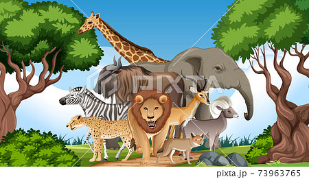Group of Wild African Animal in the forest scene 73963765