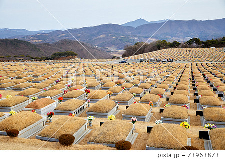 墓地 墓 共同墓地 73963873