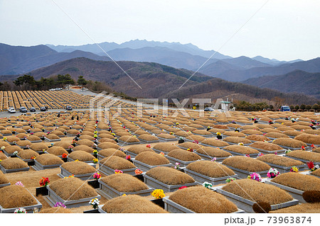墓地 墓 共同墓地 73963874