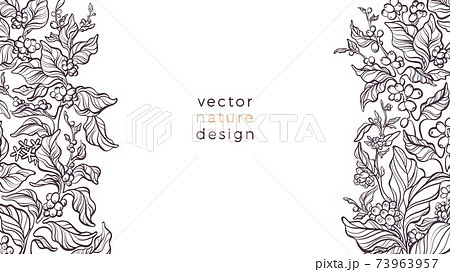 melodisk Paranafloden Vittig Vector nature border. Coffee plant Art bio patternのイラスト素材 [73963957] - PIXTA