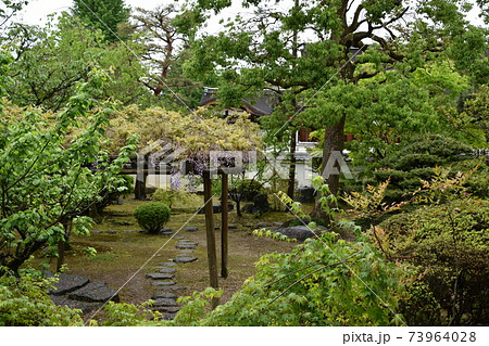 和風庭園 73964028