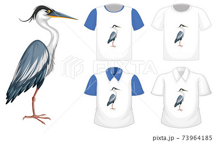 Set of different shirts with great blue heron cartoon character isolated on white background Set of different shirts with great blue heron cartoon character isolated on white background 73964185