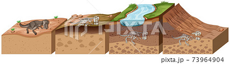 Soil layers with dinosaur fossil Soil layers with dinosaur fossil 73964904