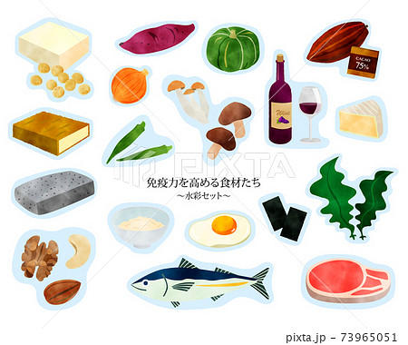 免疫力を高める食材たち／健康／水彩セット／青フチ 73965051