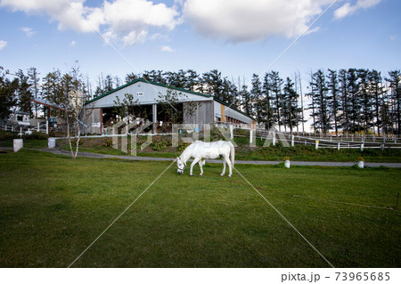 箱根牧場 北海道 千歳市 東丘 箱根牧場 北海道 千歳市 東丘 73965685