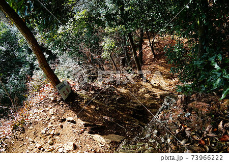 足利市　大小山　女坂 73966222