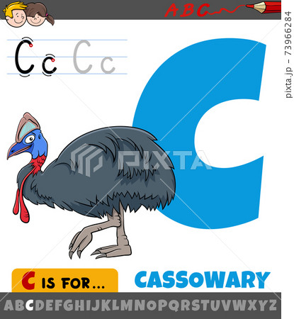 letter C from alphabet with cartoon cassowary bird letter C from alphabet with cartoon cassowary bird 73966284