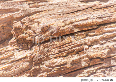 Vintage surface wood table and rustic texture background, closeup on the structure wooden Vintage surface wood table and rustic texture background, closeup on the structure wooden 73966830