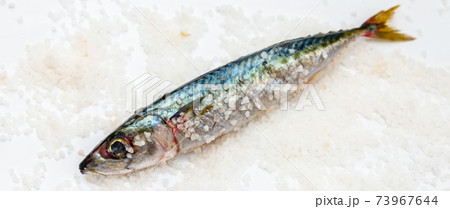 Whole raw organic mackerel fish with sea salt lying on a flat surface 73967644