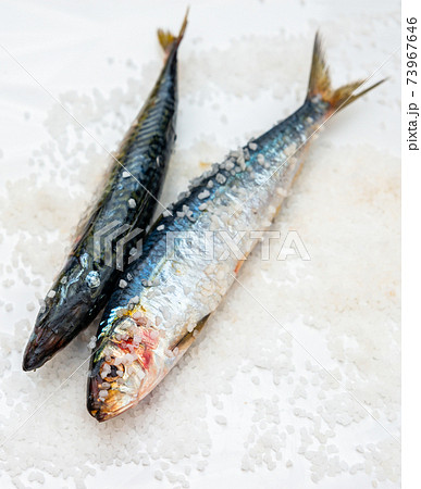 Whole raw organic mackerel fish with sea salt lying on a flat surface 73967646
