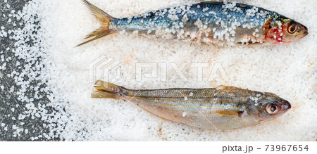 Whole raw organic mackerel fish with sea salt lying on a flat surface 73967654