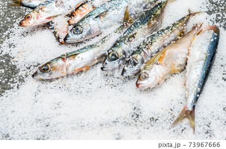 Whole raw organic mackerel fish with sea salt lying on a flat surface 73967666