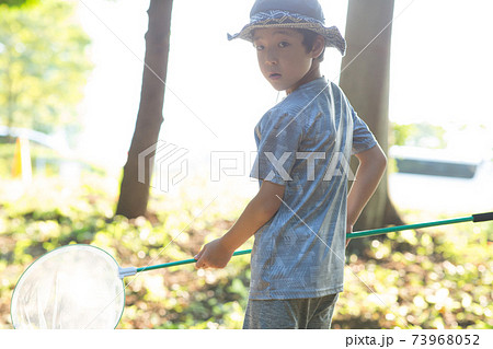 雑木林で虫取りをする子供 73968052