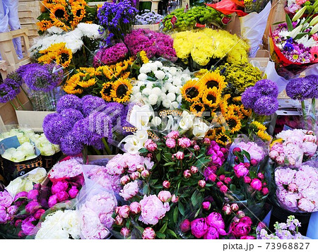 お花屋さんの色々な種類の花の写真素材
