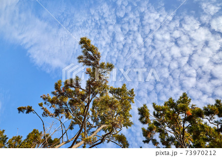 空 雲 青空 73970212