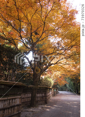 龍安寺境内の紅葉 龍安寺境内の紅葉 73970326