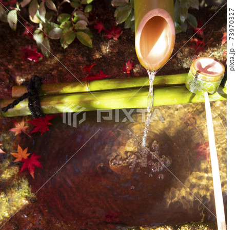 龍安寺の手水に浮かぶもみじ 龍安寺の手水に浮かぶもみじ 73970327