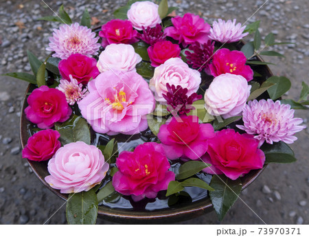 二尊院の花手水 二尊院の花手水 73970371