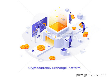 Vector Isometric Concept 73970688