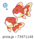 二匹の金魚さん 73971148