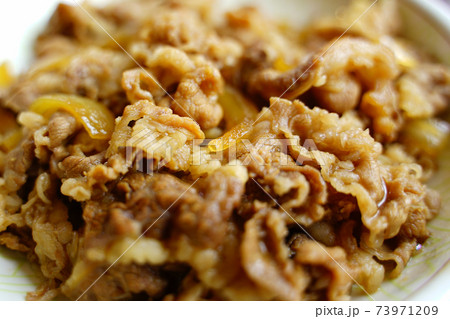 ファーストフード　牛丼 73971209