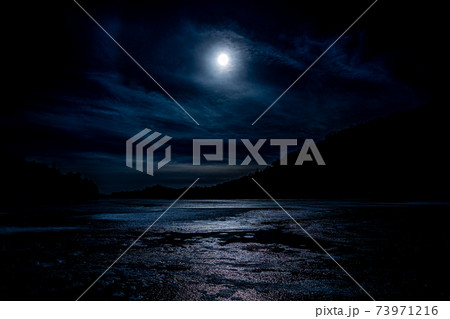 男体山　中禅寺湖　山　奥日光　栃木県　日光市　山林　自然　雲　山岳　アウトドア　冬　冬山　針葉樹 73971216