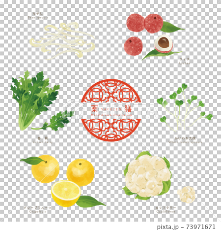 春の薬膳-3/食材の手描きイラスト 73971671