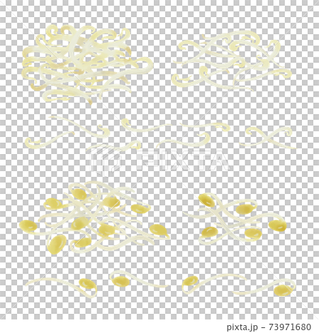 もやしと大豆もやしの手描きイラスト 73971680
