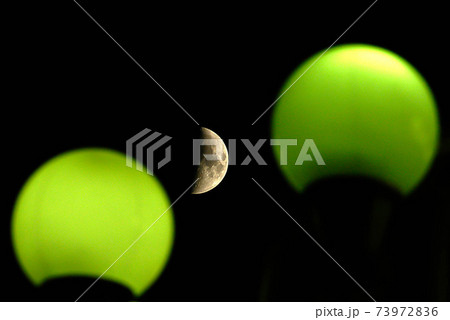 Portrait of The moon 73972836