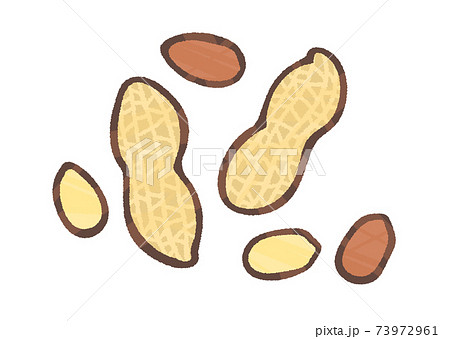 落花生のイラスト素材