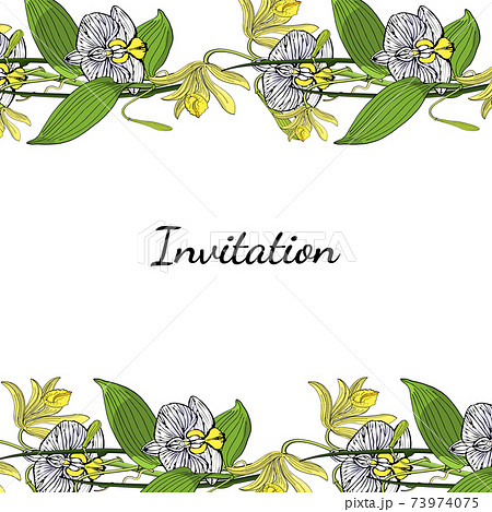 Card template with floral motif, white background Card template with floral motif, white background 73974075
