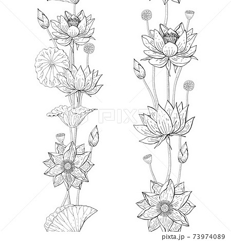Seamless Brush From Lotus Flowers And Leavesのイラスト素材