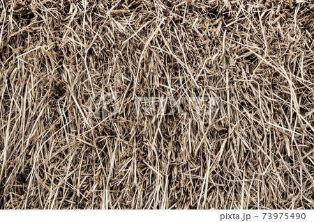 Texture of piled dried straw for animal feed 73975490
