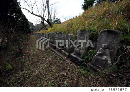 小見川城山公園 小見川城山公園 73975677