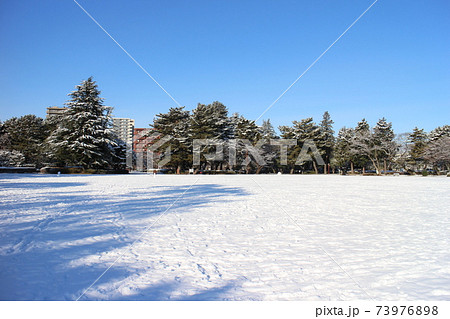 仙台市宮城野区 雪の榴岡公園 仙台市宮城野区 雪の榴岡公園 73976898