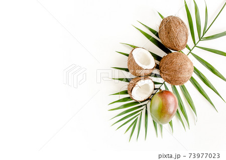 Tropical green palm leaf and cracked coconut on white background. Nature concept. flat lay, top view Tropical green palm leaf and cracked coconut on white background. Nature concept. flat lay, top view 73977023