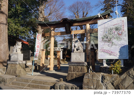 出雲大社相模分祠 出雲大社相模分祠 73977370