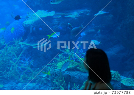 水族館 女性 ポートレート 水族館 女性 ポートレート 73977788
