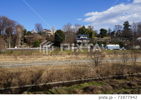 1月　小金井116野川とはけの森97階段･国分寺崖線･国分寺崖線 73977942